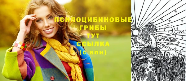 ГАЛЛЮЦИНОГЕННЫЕ ГРИБЫ Алексеевка