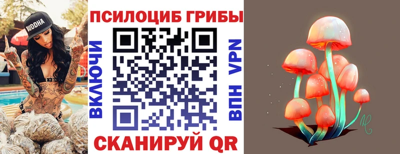купить  сайты  Холм  Галлюциногенные грибы Cubensis 