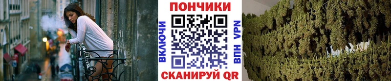 купить наркотики цена  Холм  МАРИХУАНА конопля 